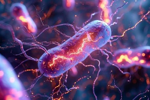 Vi khuẩn 'hít thở' tạo ra điện