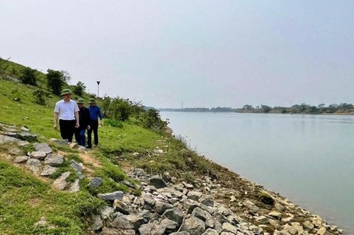Thanh Hóa: Tuyến kè đê Phú Văn sạt lở nghiêm trọng