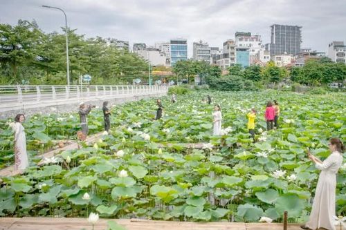 Những mùa hoa nên thơ!