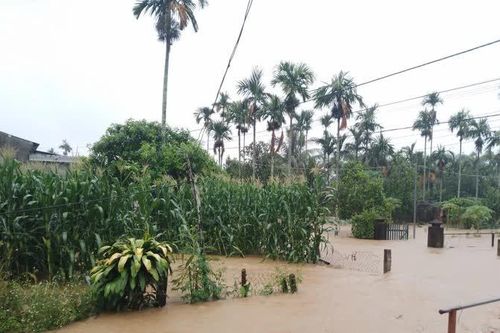 Quảng Nam: khẩn trương khắc phục hậu quả do mưa lũ