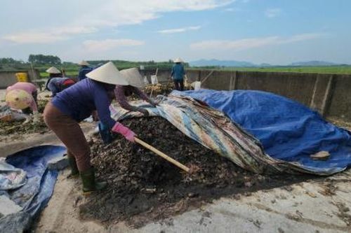 Biến rác thải thành phân bón hữu cơ