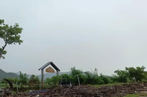 Nước dâng đột ngột, Hòa Vang gánh thiệt hại