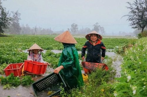 Ít nhất 6 người chết và mất tích do mưa lũ ở miền Trung