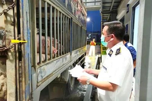 Hà Nội: Liên ngành đột xuất kiểm tra Công ty C.P trong đêm