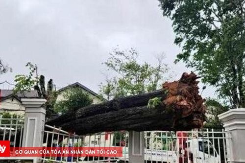 Lâm Đồng triển khai các biện pháp cấp bách ứng phó mưa lũ và sạt lở đất