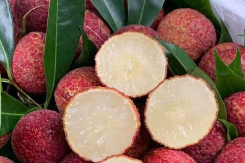 Vải Trung Quốc được trồng như thế nào mà về Việt Nam giá 700.000 đồng/kg?