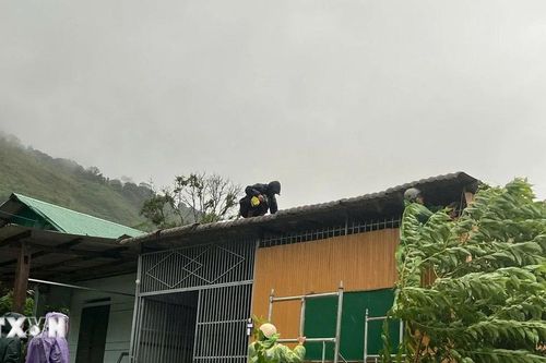 Kon Tum ghi nhận nhiều thiệt hại do bão số 1, khả năng vẫn tiếp tục đón mưa lớn