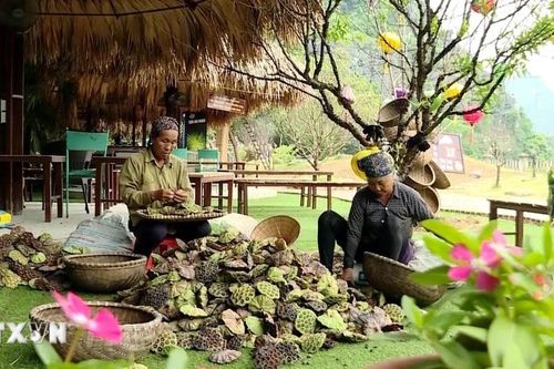 2 nguyên Bộ trưởng 'hiến kế': Không nên ồ ạt đô thị hóa khi xây dựng nông thôn mới