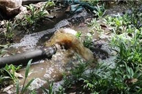 Nguy cơ ô nhiễm môi trường nông thôn từ chăn nuôi nhỏ lẻ ở ngoại thành Hà Nội