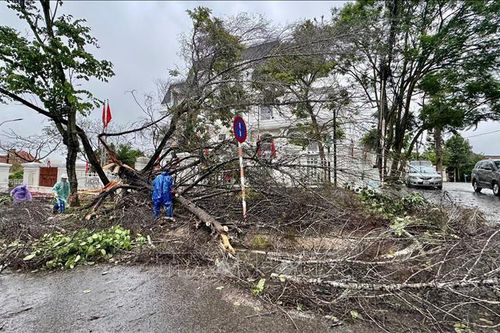 Lâm Đồng thực hiện các biện pháp ứng phó mưa lớn do ảnh hưởng bão số 1