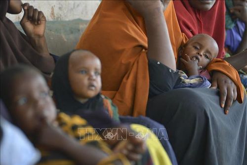 Tình trạng trẻ em suy dinh dưỡng gia tăng ở Somalia