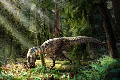 Phát hiện loài khủng long mới là anh em họ với bạo chúa T. Rex