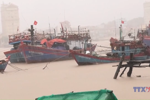 Quảng Bình kịp thời cứu tàu cá sắp bị đắm trong mưa bão