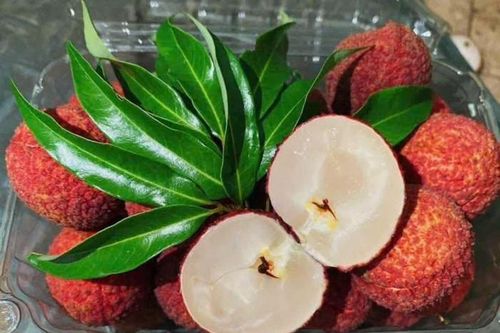 Gần 1 triệu đồng/kg vẫn cháy hàng, loại vải không hạt này có gì đặc biệt?