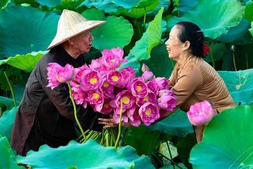Truyện ngắn: Màu hoa rực rỡ