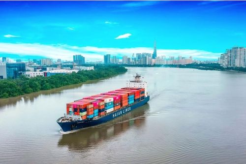 Một công ty ngành cảng biển đặt mục tiêu doanh thu 4.556 tỷ đồng trong năm 2025