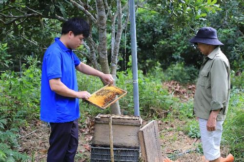 Thủ lĩnh đoàn gương mẫu