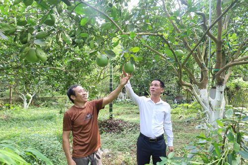 Đưa đặc sản địa phương thành sản phẩm OCOP
