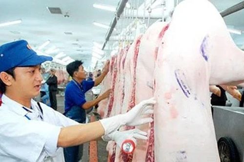 Siết chặt công tác kiểm dịch động vật để bảo vệ sức khỏe cộng đồng