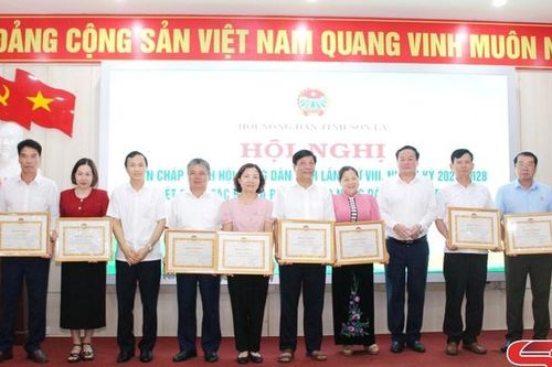Hỗ trợ, định hướng để nông dân phát triển các mô hình kinh tế