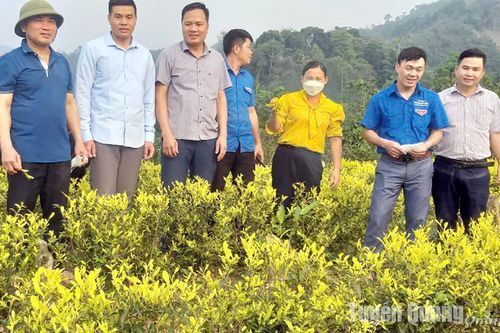 Chuyện ở vùng giáp ranh