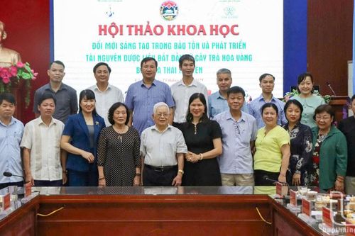 Nhiều nhà khoa học đầu ngành quy tụ tại hội thảo về trà hoa vàng ở Võ Nhai