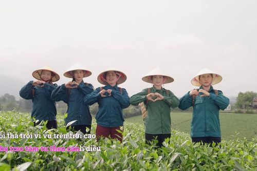 'Giấc mơ cánh diều' - Bài ca của tinh thần phiêu lưu và khát vọng bay xa