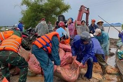 Huy động lực lượng, khẩn trương gia cố đê bị vỡ