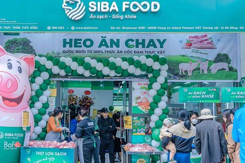 'Heo ăn chay' BAF Việt Nam (BAF): Doanh thu lập kỷ lục mới, đảm bảo chất lượng heo sạch