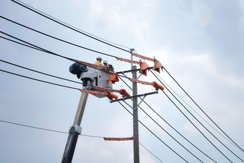 Tổng công ty Điện lực Thành phố Hồ Chí Minh tăng cường kiểm tra công tác an toàn trong lao động