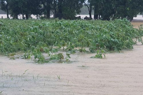 Quảng Trị: Mưa lũ 'trái vụ' cuốn phăng sinh kế của người dân