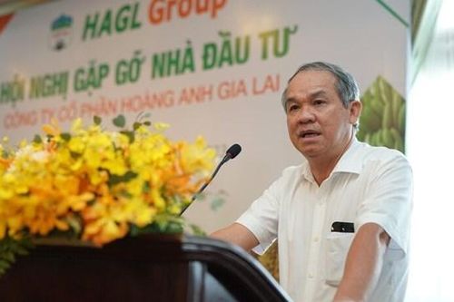Chủ tịch Hoàng Anh Gia Lai (HAG) Đoàn Nguyên Đức đăng ký mua 10 triệu cổ phiếu sau khi công bố chiến lược kinh doanh mới