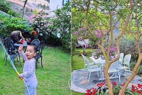 Khu vườn mùa hè ở biệt thự trên núi của vợ chồng diễn viên Mạnh Trường: Hoa giăng lối, cây trĩu quả