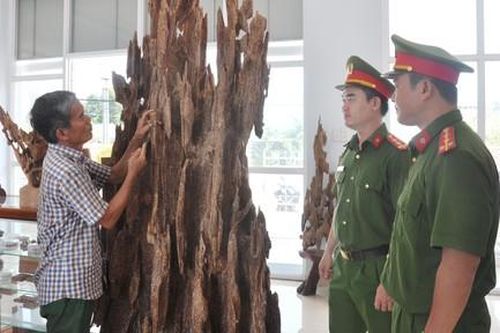 Kỳ 1: Chuyện xưa... 'ngậm ngải tìm trầm'
