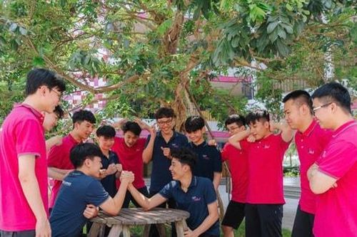 Bên trong mô hình trường học hạnh phúc của TH School có gì đặc biệt?