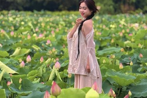 Đầm sen chưa kịp nở, hội mê ảnh đẹp đã ùn ùn đổ về Hang Múa check-in cực 'cháy'