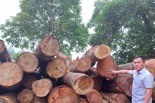 Nhà báo điều tra cần minh bạch trong tác nghiệp