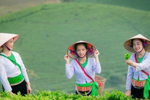 Bồng bềnh 'tiên cảnh Long Cốc'