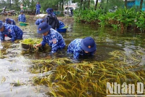 Quảng Trị: Khẩn trương khắc phục hậu quả bão số 1