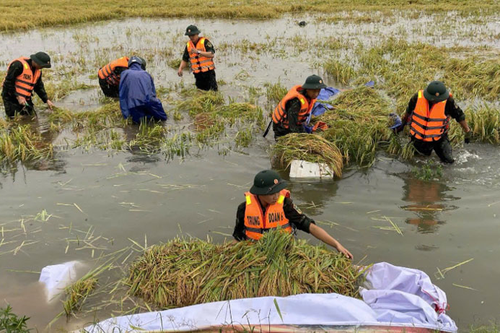 LLVT Quân khu 4: Kịp thời giúp dân ứng phó thiên tai