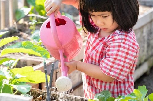 7 kỹ năng cha mẹ nên dạy con trước tuổi dậy thì