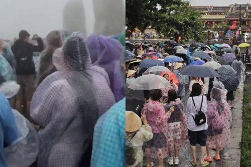Netizen 'dở khóc dở cười' chia sẻ ảnh du lịch mùa mưa bão