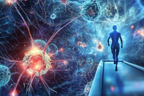 Chạy bộ giúp kích hoạt gene chống Alzheimer
