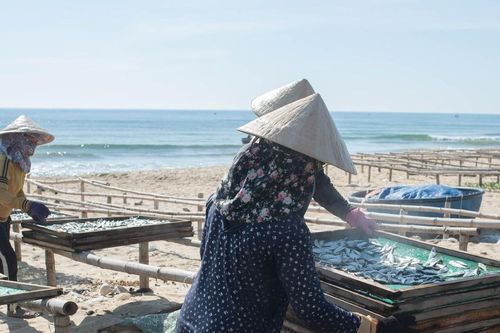 Việt Nam tiên phong trong bảo vệ môi trường và sinh kế gắn với biển