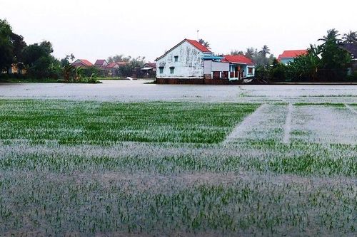 2 người chết, 4 người mất tích và hàng chục căn nhà hư hỏng do mưa, lũ