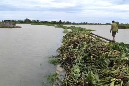 Đi tìm vịt trên đồng, người đàn ông ở Quảng Trị chết đuối