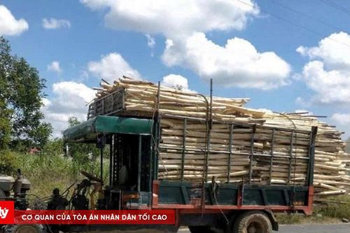 Xe máy cày - Hiểm họa chực chờ trên những cung đường