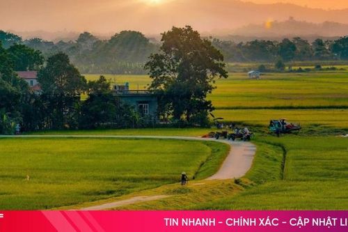 Podcast tản văn: Hương quê