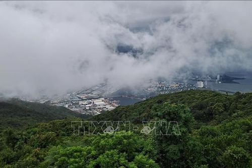 Rừng trong lòng phố - Bài 1: Bảo tàng sinh thái sống