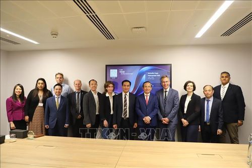 Thúc đẩy hợp tác y khoa Việt Nam - Anh